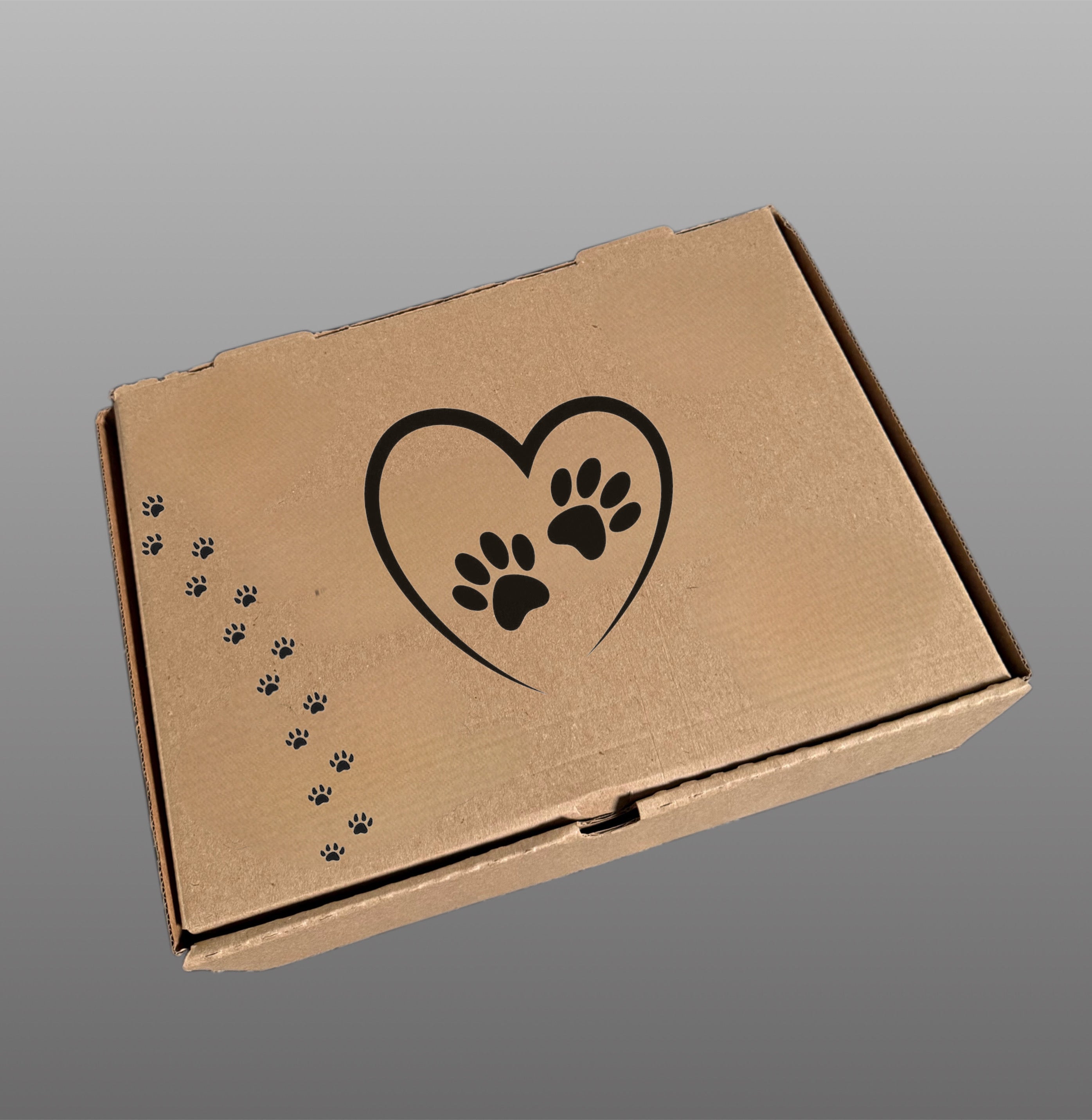 Caja cartón / Mascotas / Huellitas